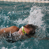 Ein Mädchen schwimmt im Freistil beim Pinguin Cup 2023