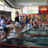 Schwimmerinnen beim Staffelwechsel beim Pinguin Cup 2023